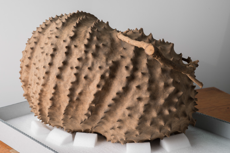 Illustration for article titled 6 Exquisite Structures Built By Wasps